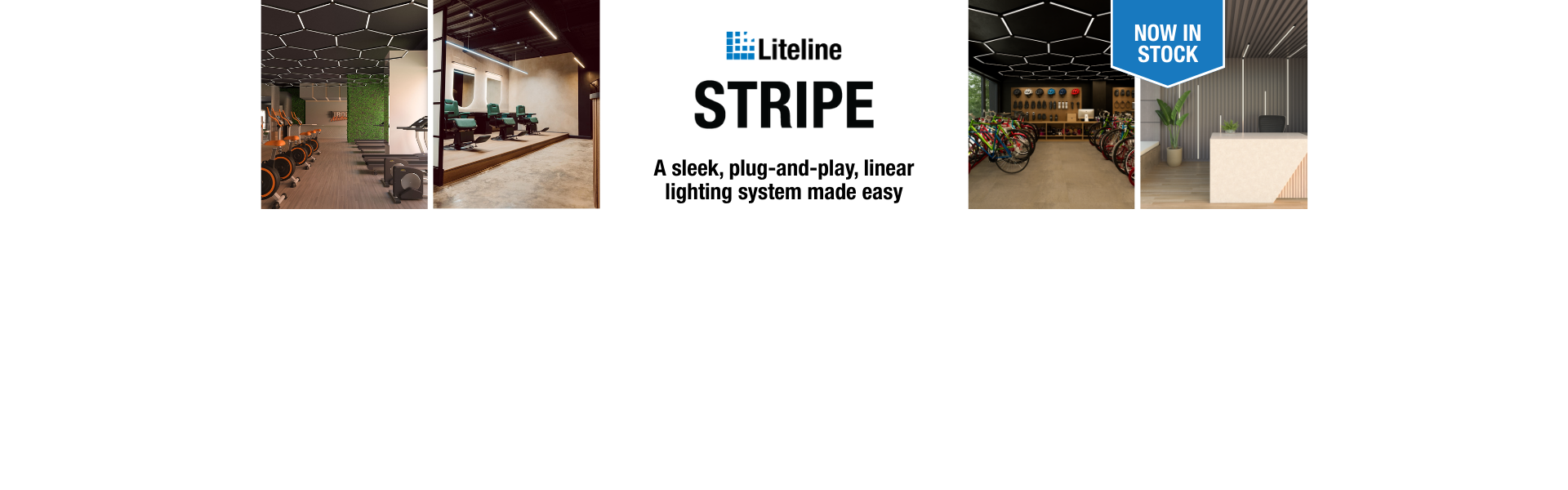 STRIPE home page banner - EN.png